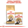 Royal Canin FBN Persian Adult 12x85g Karma Mokra Pasztet Dla Kotów Dorosłych Rasy Pers