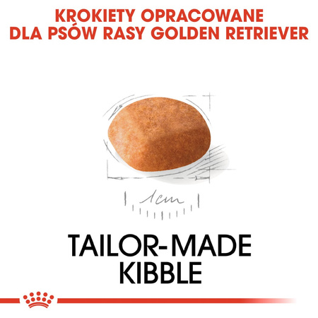 Royal Canin BHN Golden Retriever Puppy 3kg Karma Sucha Dla Szczeniąt Do 15 Miesiąca Rasy Golden Retriever