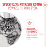 Royal Canin Ageing 11+ Jelly Karma Mokra 85g Kawałki w Galaretce Dla Kotów Dojrzałych Po 11 Roku Życia