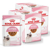 Royal Canin FHN Kitten Instinctive 24x85g Karma Mokra W Sosie Dla Kociąt Do 12 Miesiąca Życia