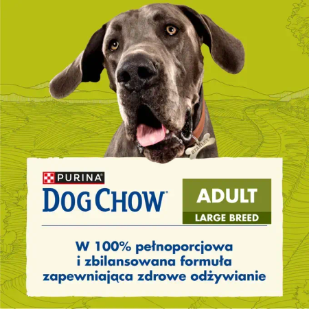Purina Dog Chow Large Breed Adult 14kg Sucha Karma Dla Psów Dużych Ras z Indykiem