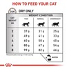 Royal Canin Veterinary Hepatic S/O 4kg Sucha Karma Dla Kotów Z Niewydolnością Wątroby