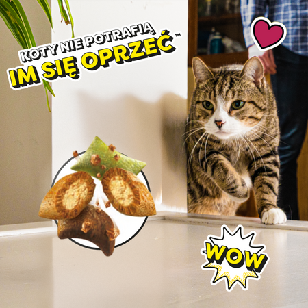 Dreamies Shake Ups Multivitamins 55g Przysmak Dla Kota z Owocami Morza o Smaku Łososia Tuńczyka i Krewetek