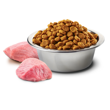 Farmina N&D Dog Prime Adult Mini 7kg Sucha Karma Dla Dorosłych Psów Małych Ras Z Jagnięciną I Borówką