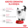Royal Canin Fhn Kitten 10kg Karma Sucha Dla Kociąt +12x85g Mokra Karma w Sosie