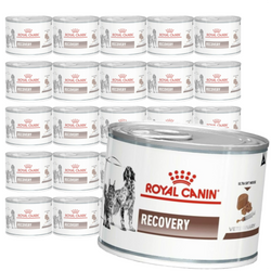 Royal Canin Veterinary VHN Recovery Mousse 24x195g Mokra Karma Mus Dla Psów i Kotów Rekonwalescencja