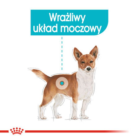 Royal Canin CCN Urinary Care 24x85g Karma Mokra Pasztet Dla Psów Ochrona Dolnych Dróg Moczowych
