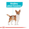 Royal Canin CCN Urinary Care 24x85g Karma Mokra Pasztet Dla Psów Ochrona Dolnych Dróg Moczowych