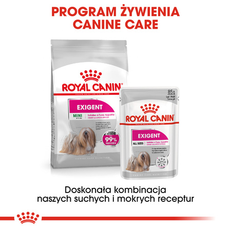 Royal Canin CCN Exigent 24x85g Karma Mokra Pasztet Dla Wybrednych Psów Dorosłych