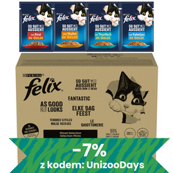 Felix Fantastic Karma Dla Kotów Wybór Smaków W Galaretce 10,2kg (120x85g)