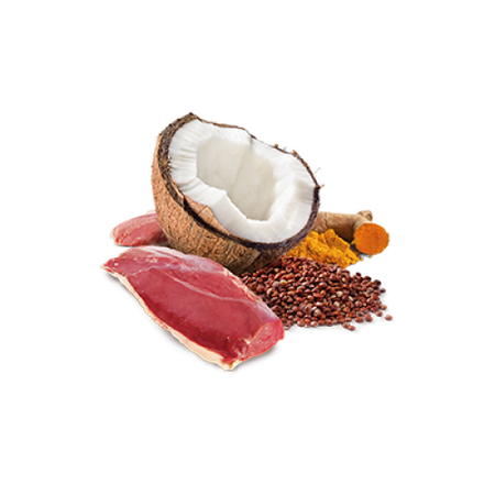 Farmina N&D Dog Quinoa Skin & Coat Duck 285g Mokra Karma Z Kaczką I Kokosem Dla Psów Z Wrażliwą Skórą I Alergiami