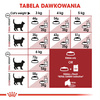 Royal Canin Regular Fit 32 Adult 400g Karma Sucha Dla Kotów Dorosłych Wspierająca Idealną Kondycję