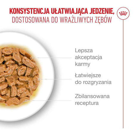 Royal Canin Ageing 11+ Karma Mokra 85g Kawałki w Sosie Dla Kotów Dojrzałych Po 11 Roku Życia