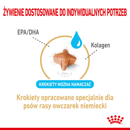 Royal Canin BHN German Shepherd Adult 5+ 3kg Karma Sucha Dla Dorosłych Psów Rasy Owczarek Niemiecki Powyżej 5 Roku Życia