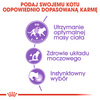 Royal Canin FHN Sterilised W Galaretce 24x85g Mokra Karma Dla Kotów Sterylizowanych
