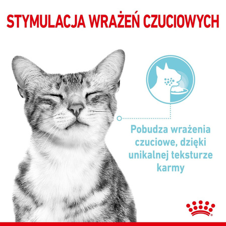 ROYAL CANIN Sensory Mix Smell Taste Feel w Sosie Zestaw 24x85g Mokra Karma Dla Kotów Wybrednych