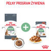 Royal Canin Digest Sensitive 6x85g Mokra Karma Dla Kotów Dorosłych W Sosie Na Wrażliwy Przewód Pokarmowy