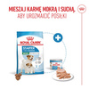 Royal Canin Starter Mousse Mother & Babydog 6x195g Karma Mokra Mus Dla Suk W Czasie Ciąży Laktacji I Szczeniąt