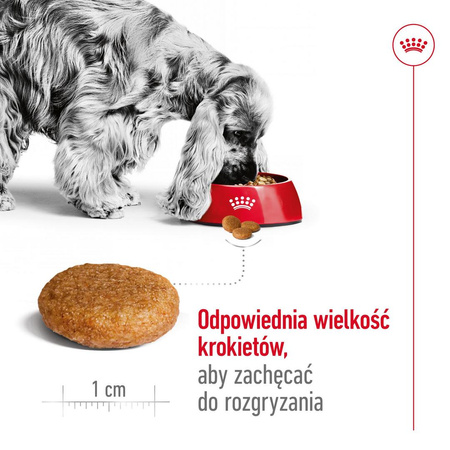 Royal Canin Adult Medium BF 15kg Zbilansowana Sucha Karma Dla Psów Średnich Ras