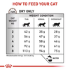 Royal Canin Veterinary Gastrointestinal Hairball S/O 4kg Sucha Karma Dla Kotów Ułatwiająca Usuwanie Kul Włosowych