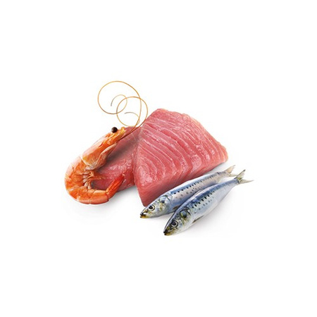 Farmina N&D Cat Ocean Tuna Sardine Shrimps 24x70g Mokra Karma Dla Kota Tuńczyk Sardynka Krewetka