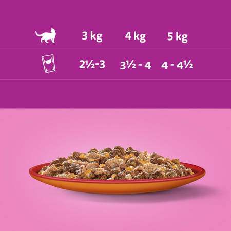 Whiskas Adult 28x85g Mokra Karma Dla Dorosłych Kotów Kawałki Z Wołowiną I Drobiem W Galaretce