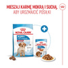 Royal Canin Medium Puppy 140g Karma Mokra W Sosie Dla Szczeniąt Ras Średnich Do 12 Miesiąca Życia 