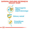 Royal Canin BHN Jack Russell Terrier Puppy 3kg Karma Sucha Dla Szczeniąt Do 10 Miesiąca Rasy Jack Russel Terrier