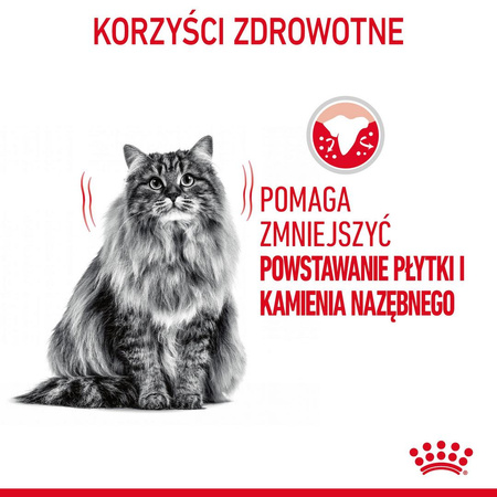 Royal Canin Dental 1,5kg Karma Sucha Dla Kotów Dorosłych Redukująca Odkładanie Kamienia Nazębnego