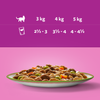 Whiskas Adult Tasty Mix Wybór Szefa Kuchni Saszetki 24x85g Mokra Karma Dla Dorosłych Kotów w Sosie