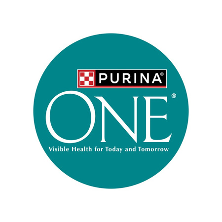 Purina One Senior 7+ Sucha Karma Dla Kota Bogata W Kurczaka I Pełne Ziarna 3x800g