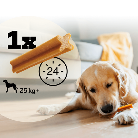 Gryzak Dla Psów Pedigree Dentastix Large Duże Rasy 4x 56-Pack