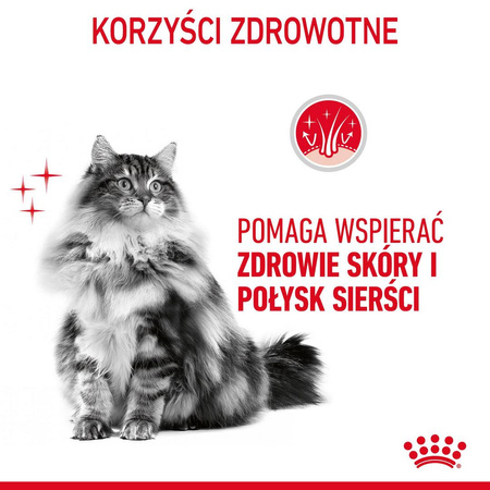 Royal Canin Hair & Skin 85g Mokra Karma Dla Kotów Dorosłych w Sosie Zdrowa Skóra Piękna Sierść
