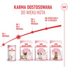 Royal Canin Mother&Babycat 4kg Karma Sucha Dla Kotek W Okresie Ciąży Laktacji i Kociąt Od 1 Do 4 Miesiąca Życia