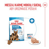 Royal Canin Maxi Starter Mother & Babydog 15kg Karma Sucha Dla Suk W Ciąży I Okresie Laktacji Oraz Szczeniąt Ras Dużych 