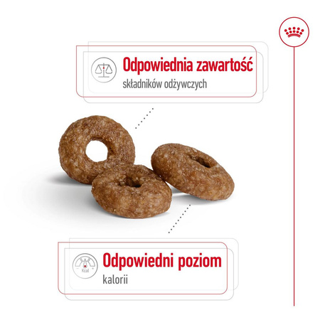 Royal Canin SHN Mini Adult 12+ 800g Karma Sucha Dla Psów Dojrzałych Po 12 Roku Życia Ras Małych