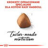 Royal Canin FBN Ragdol Adult 10kg Karma Sucha Dla Kotów Dorosłych Rasy Ragdoll