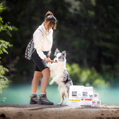 Vet Expert Raw Paleo Adult Monoprotein 24x800g Mokra Karma Dla Psa z Indykiem