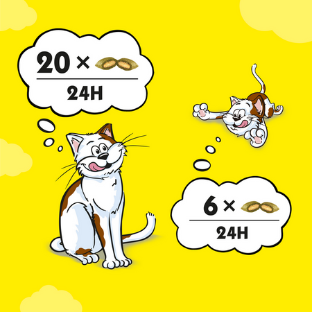 DREAMIES Variety Snack Box – karma uzupełniająca dla kotów (z kurczakiem, z serem i o smaku łososia) - 720g