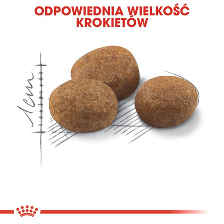 Royal Canin Sterilised +7 Karma Sucha Dla Kotów Dorosłych Sterylizowanych 1,5kg Od 7 Do 12 Roku Życia