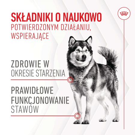 Royal Canin Supplements Dog Joint & Ageing 6x240g Suplementy Dla Psów Dorosłych W Postaci Przysmaków Wspierające Prawidłowe Funkcjonowanie Stawów 3+3 GRATIS