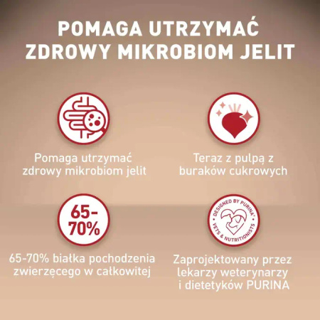 Purina ONE Mini Sensitive z Łososiem i Ryżem 2x800g Sucha Karma Dla Psów Małych Ras