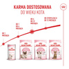 Royal Canin FHN Kitten 10kg Karma Sucha Dla Kociąt Od 4 Do 12 Miesiąca Życia