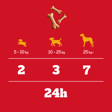 Pedigree Biscrok Gravy Bones 400g Przysmak Dla Psa