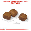 Royal Canin CCN Maxi Dental Care 9kg Karma Sucha Dla Psów Dorosłych Ras Dużych Redukująca Powstawanie Kamienia Nazębnego