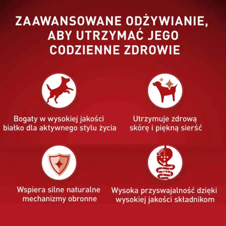 Purina ONE Mini Sensitive z Łososiem i Ryżem 4x800g Sucha Karma Dla Psów Małych Ras
