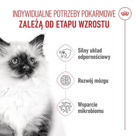 Royal Canin FHN Kitten 10kg Karma Sucha Dla Kociąt Od 4 Do 12 Miesiąca Życia