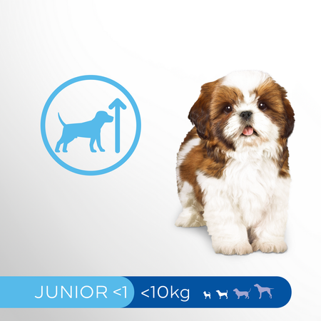 Perfect Fit (junior) 825g - Sucha Karma Dla Psa Małej Rasy Bogata W Kurczaka