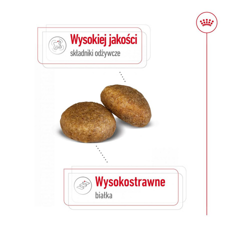 Royal Canin Adult Maxi BF 15kg Zbilansowana Sucha Karma Dla Psów Dużych Ras Do 5 Roku Życia