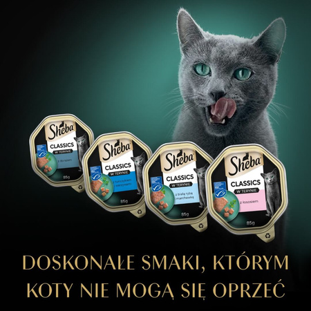 Sheba Classics Rybne Smaki Tacka 8x85g Mokra Karma Pełnoporcjowa Dla Kota W Terynie